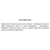 слайд 4