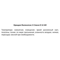 слайд 7