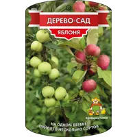 слайд 0