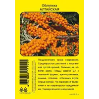 слайд 0
