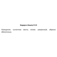 слайд 4
