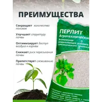 слайд 5