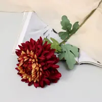 слайд 0