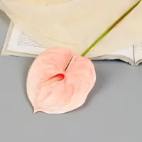 слайд 0
