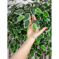 слайд 4