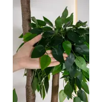 слайд 4