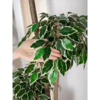 слайд 8