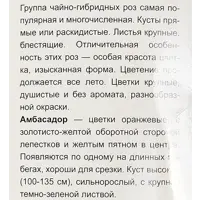 слайд 4