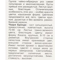 слайд 4