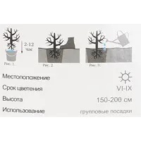 слайд 3