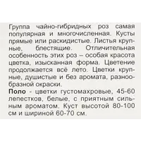 слайд 4
