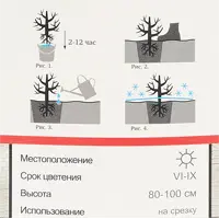 слайд 3