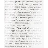 слайд 4