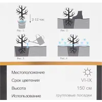 слайд 3