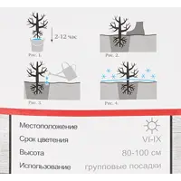 слайд 3