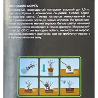 слайд 4