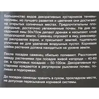 слайд 3