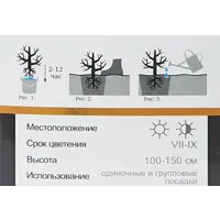 слайд 4