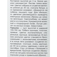 слайд 3