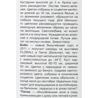 слайд 3
