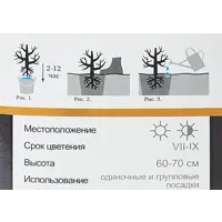 слайд 4