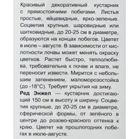 слайд 3