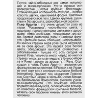 слайд 3
