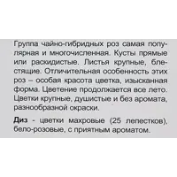 слайд 3