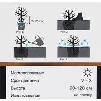 слайд 4