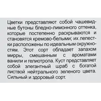 слайд 3