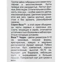 слайд 3