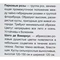 слайд 3