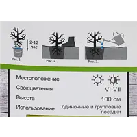 слайд 4