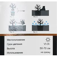 слайд 4