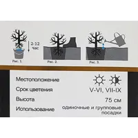 слайд 4