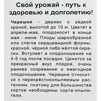 слайд 4