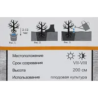 слайд 4