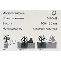 слайд 4