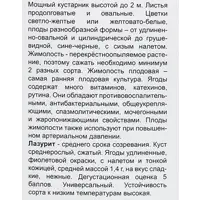 слайд 3