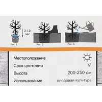 слайд 4