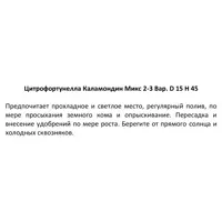 слайд 4