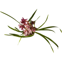 слайд 3