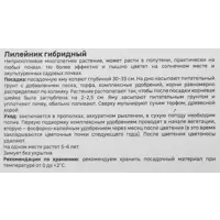 слайд 3