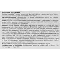 слайд 3
