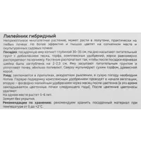 слайд 3