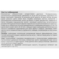 слайд 3