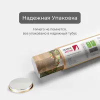 слайд 5