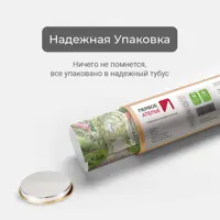 слайд 5