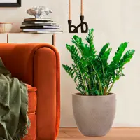 слайд 8