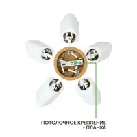 слайд 5